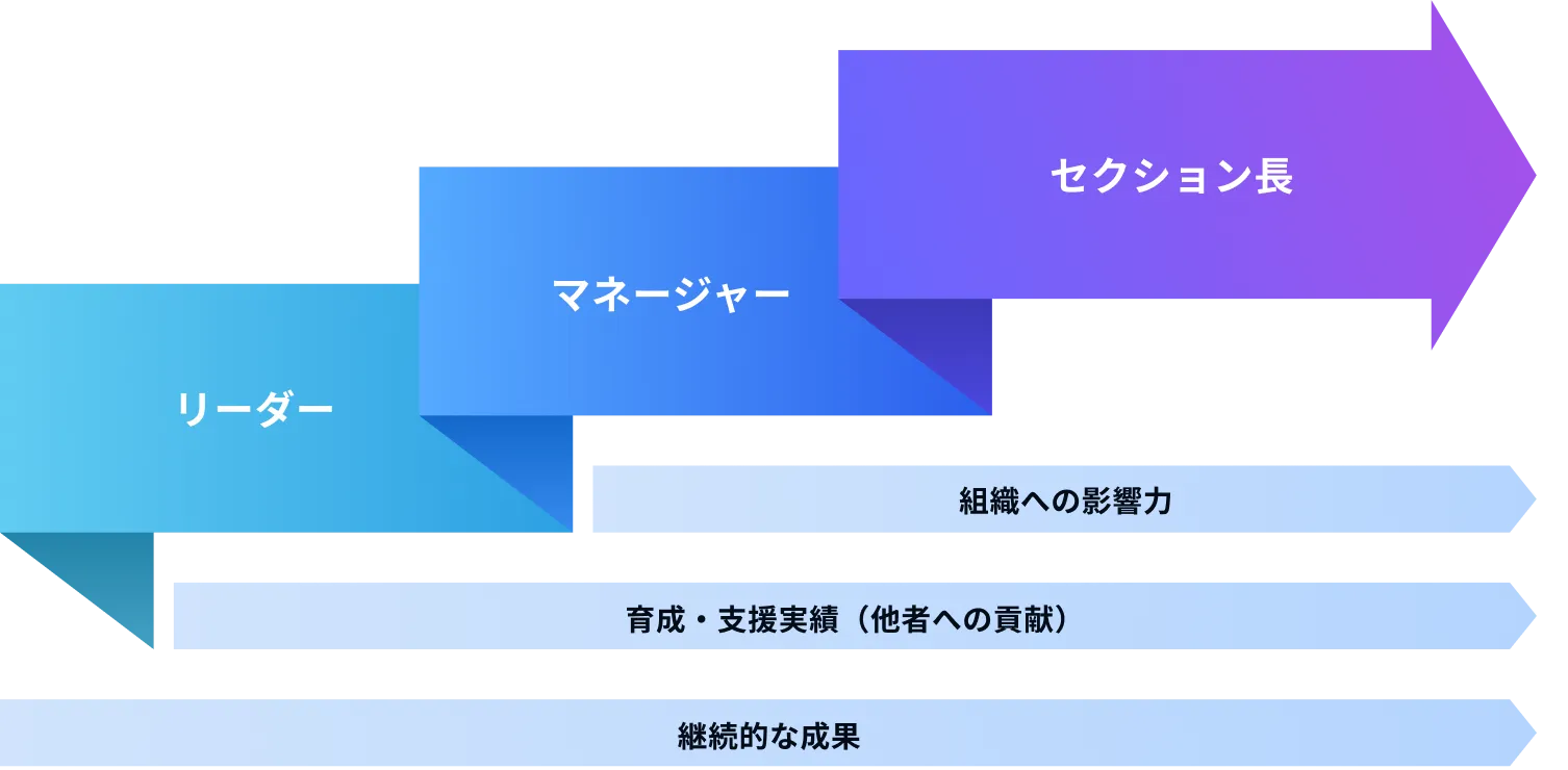 入社後のキャリアパス。リーダー、マネージャー、セクション長へと成長していく流れを示す図